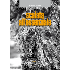 "Scalata all'essenziale", Poesie di monte di Manuele Amateis